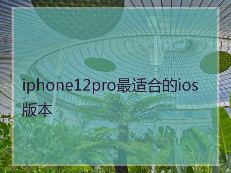 iphone12pro最适合的ios版本