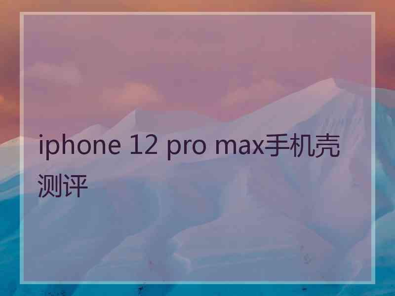 iphone 12 pro max手机壳测评