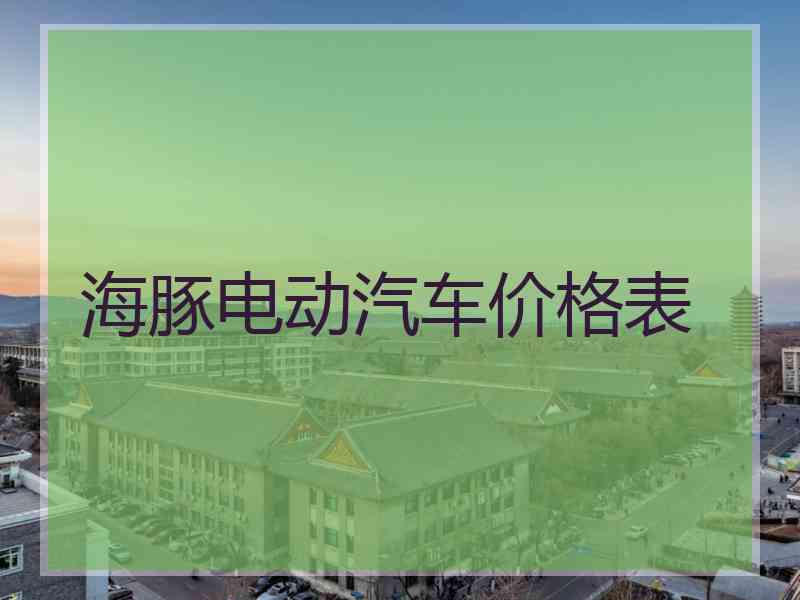 海豚电动汽车价格表