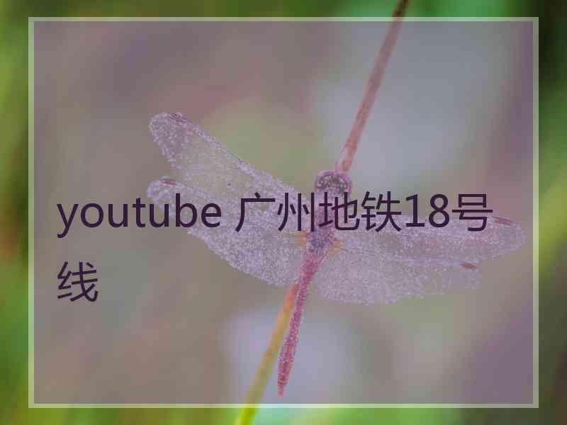 youtube 广州地铁18号线