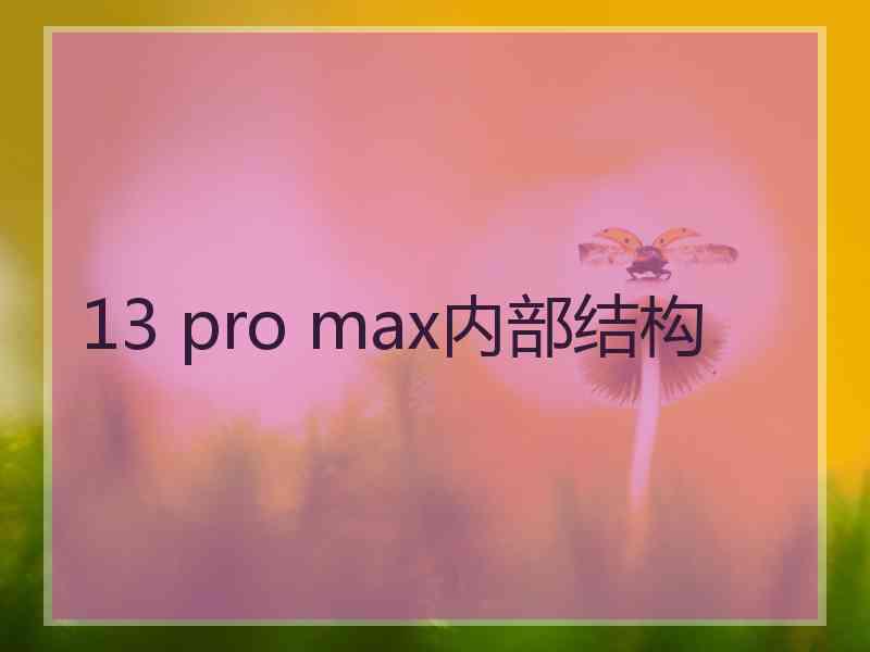 13 pro max内部结构