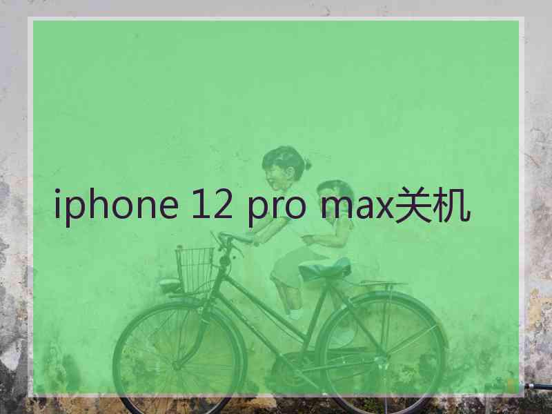 iphone 12 pro max关机