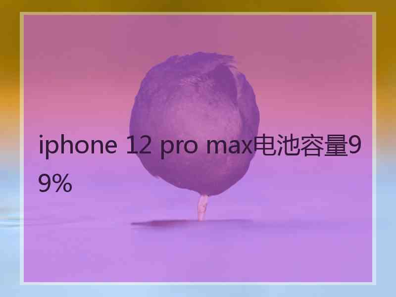 iphone 12 pro max电池容量99%