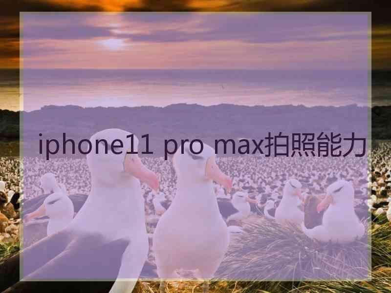 iphone11 pro max拍照能力