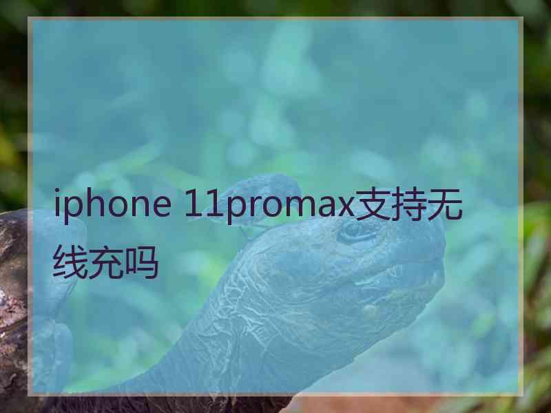 iphone 11promax支持无线充吗