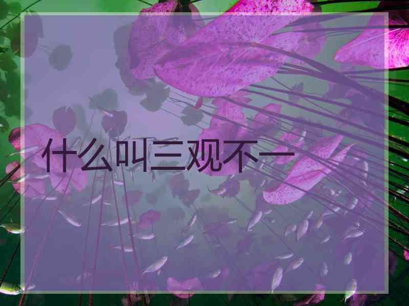 什么叫三观不一
