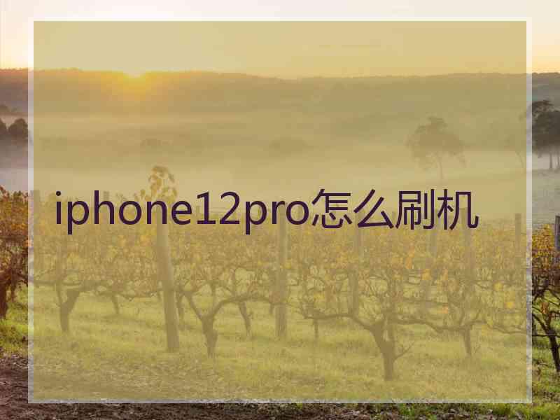 iphone12pro怎么刷机