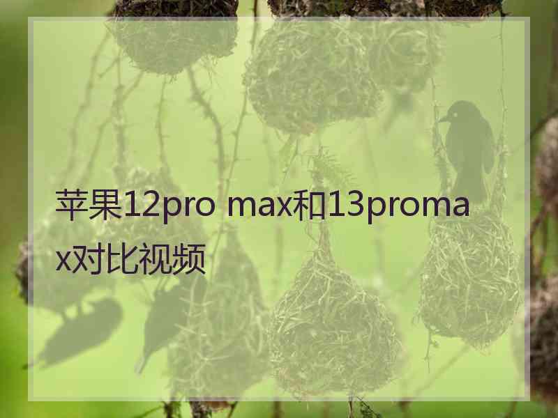 苹果12pro max和13promax对比视频