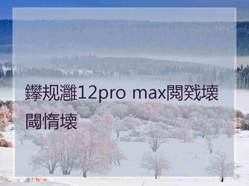 鑻规灉12pro max閲戣壊閾惰壊