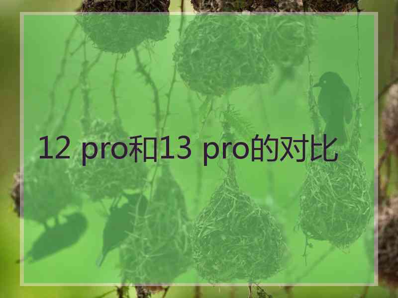 12 pro和13 pro的对比