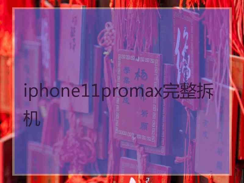 iphone11promax完整拆机