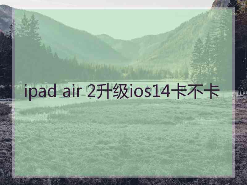 ipad air 2升级ios14卡不卡