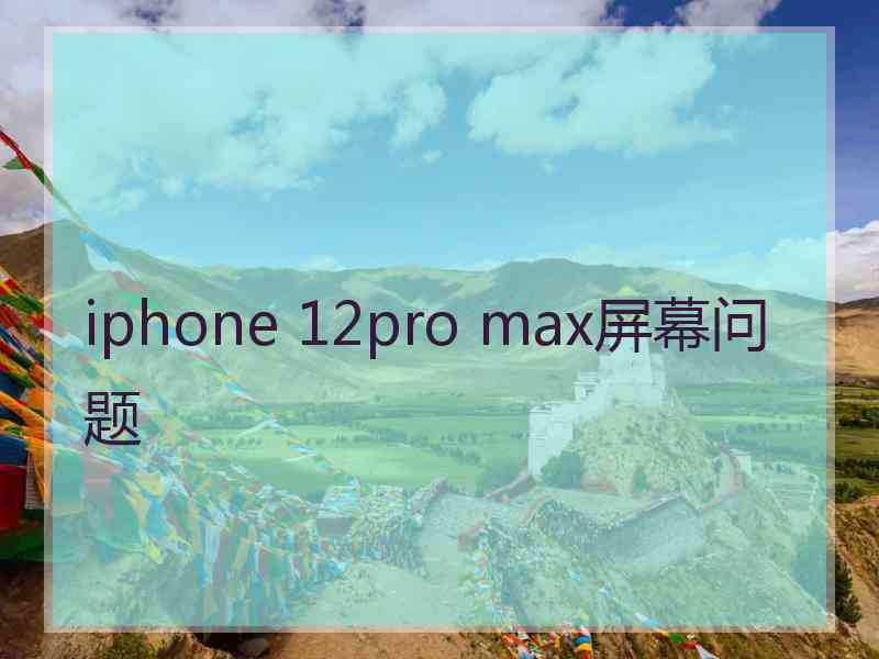 iphone 12pro max屏幕问题