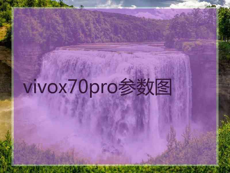 vivox70pro参数图