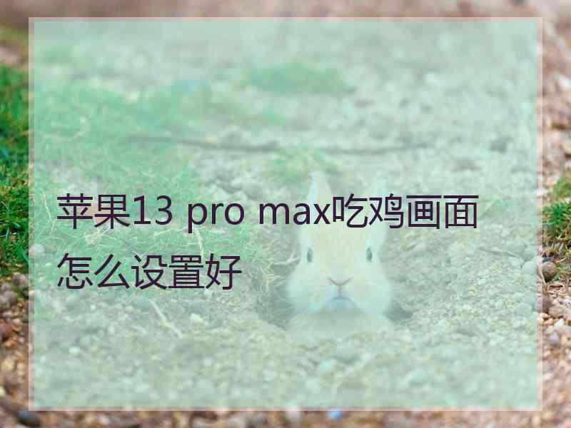 苹果13 pro max吃鸡画面怎么设置好