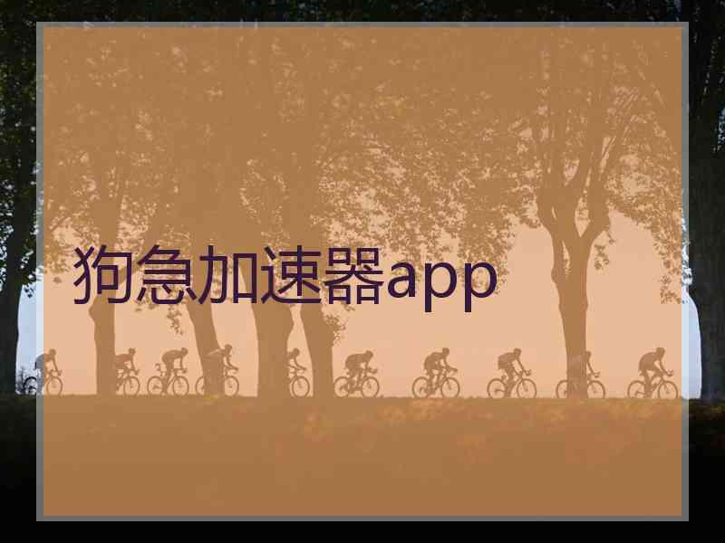 狗急加速器app