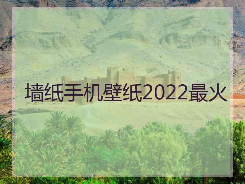 墙纸手机壁纸2022最火