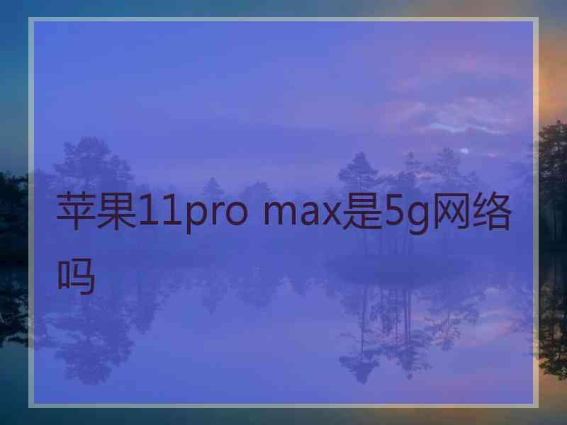 苹果11pro max是5g网络吗