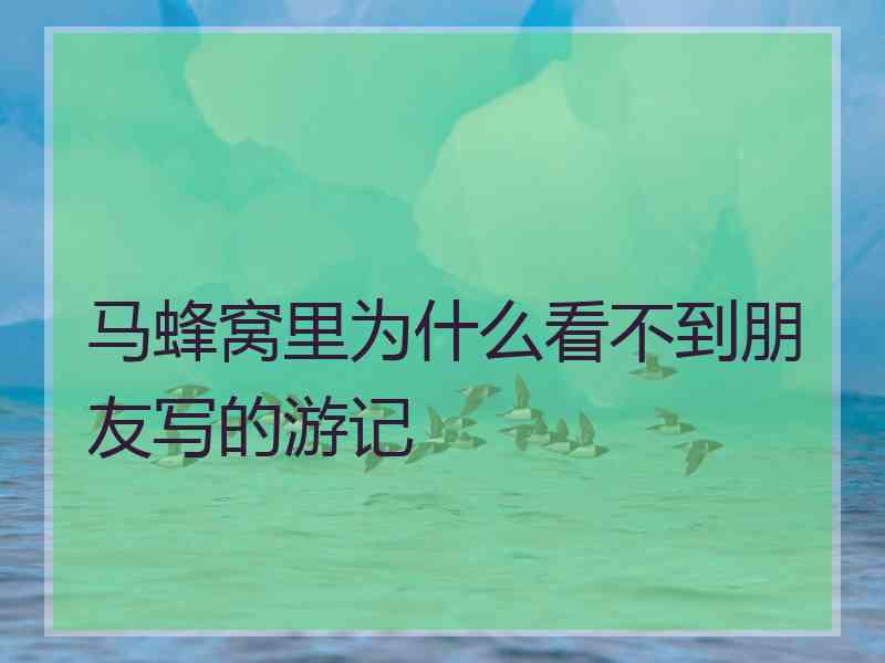 马蜂窝里为什么看不到朋友写的游记