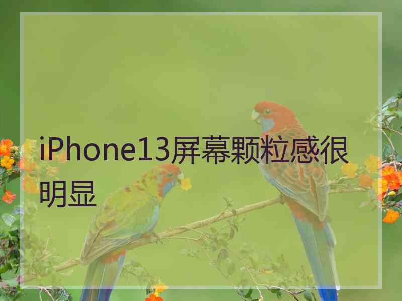 iPhone13屏幕颗粒感很明显