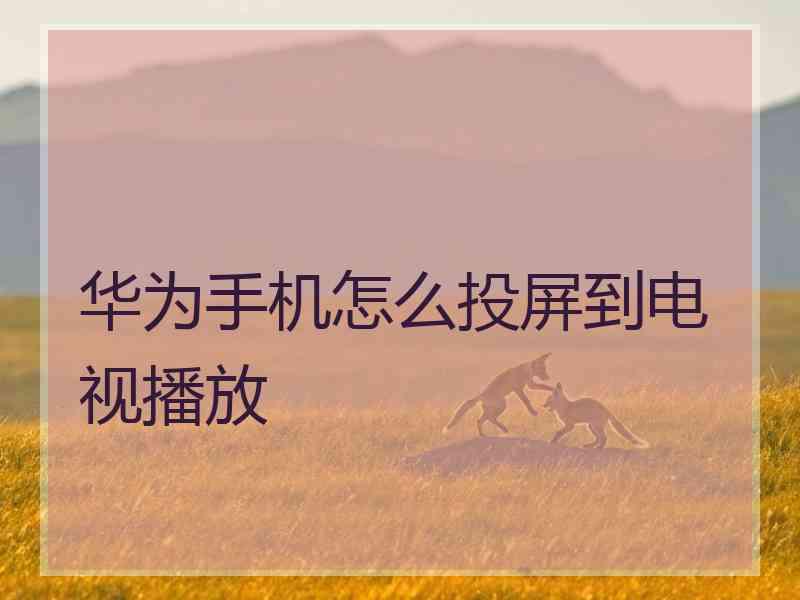 华为手机怎么投屏到电视播放