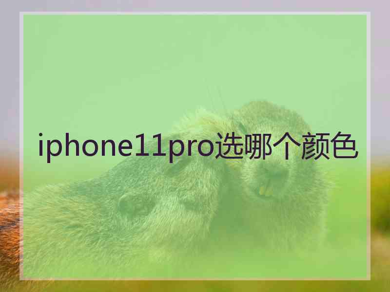 iphone11pro选哪个颜色