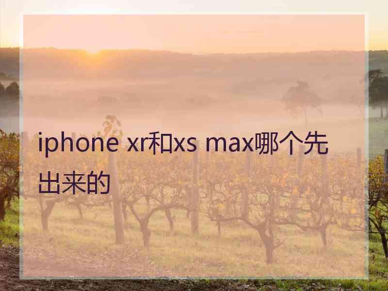 iphone xr和xs max哪个先出来的