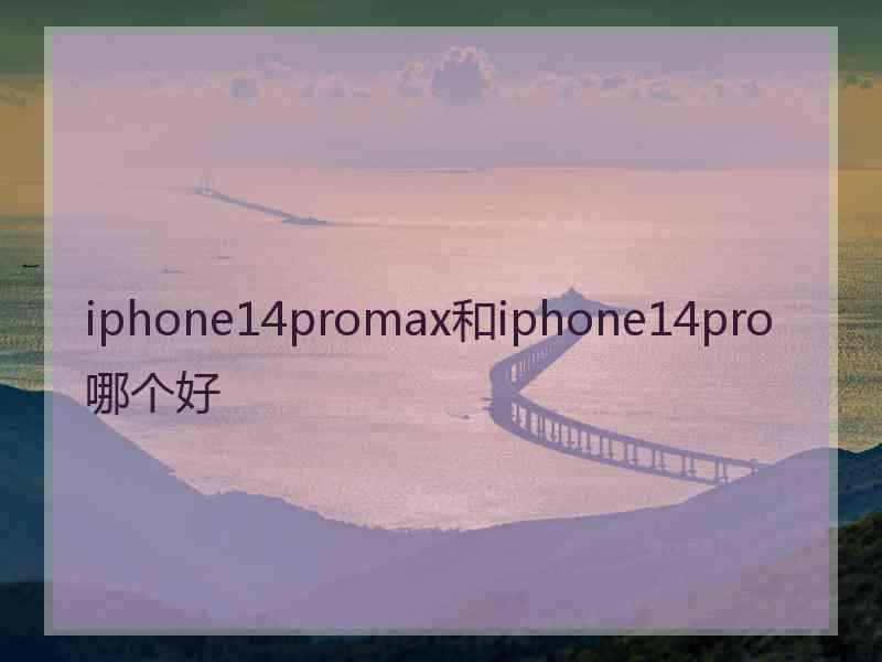 iphone14promax和iphone14pro哪个好