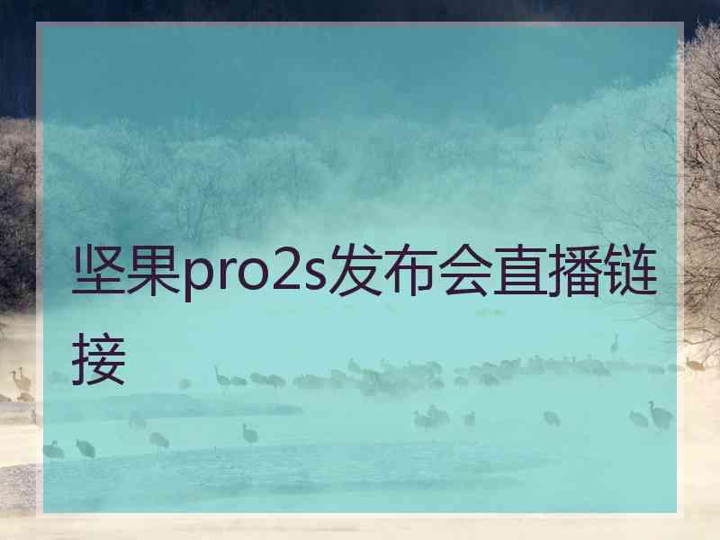 坚果pro2s发布会直播链接