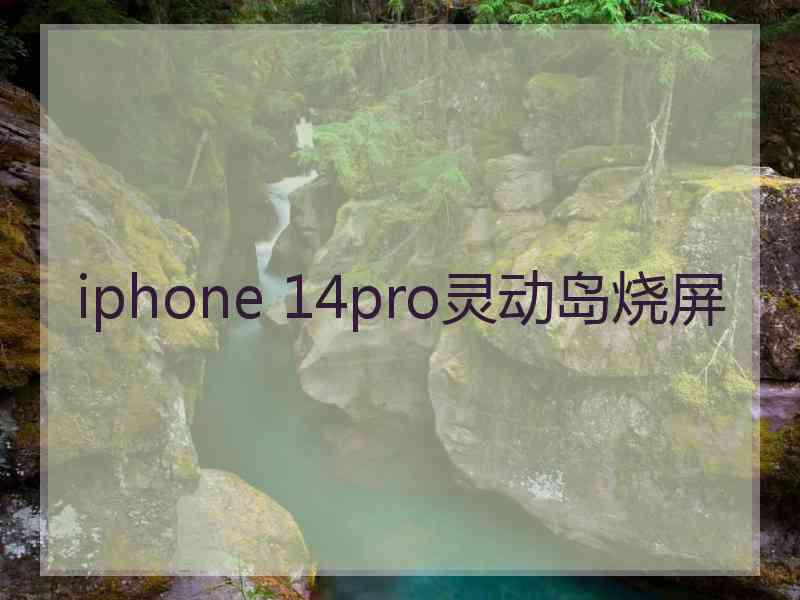 iphone 14pro灵动岛烧屏