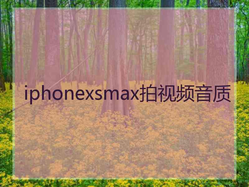 iphonexsmax拍视频音质