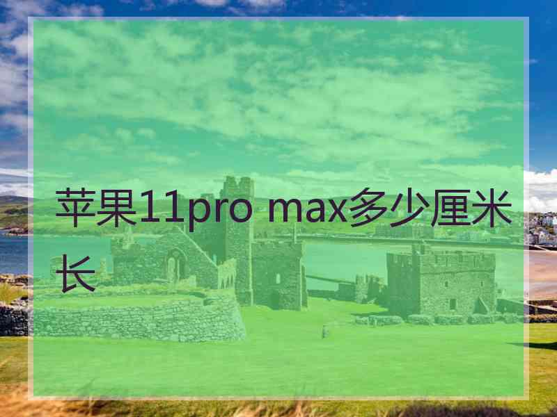 苹果11pro max多少厘米长