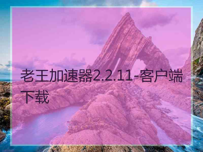 老王加速器2.2.11-客户端下载