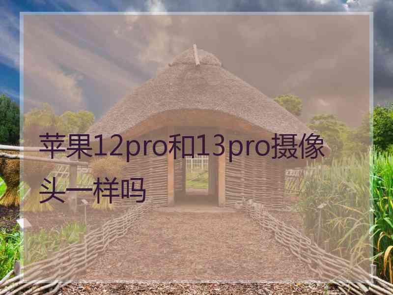 苹果12pro和13pro摄像头一样吗