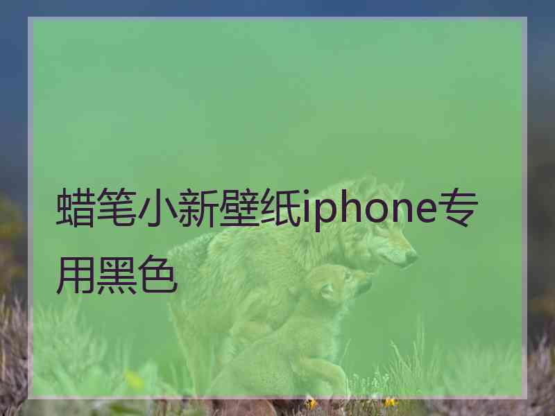 蜡笔小新壁纸iphone专用黑色