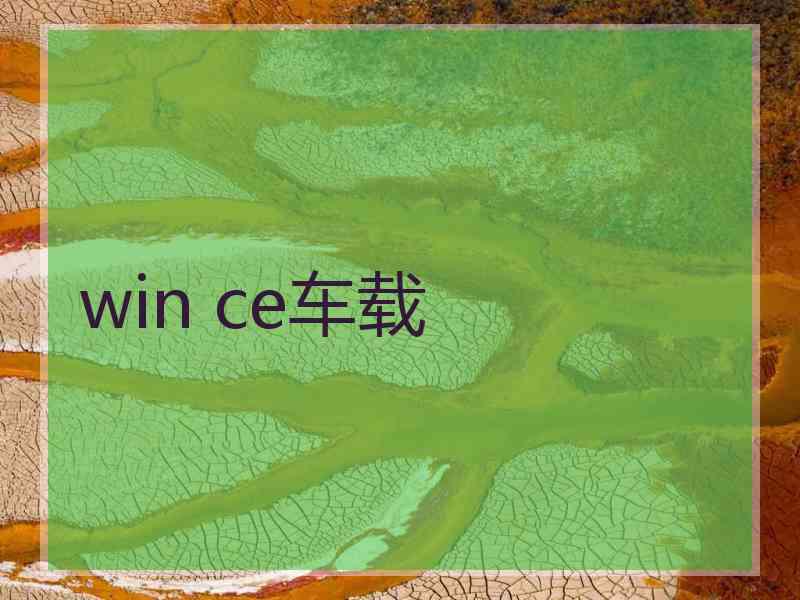 win ce车载