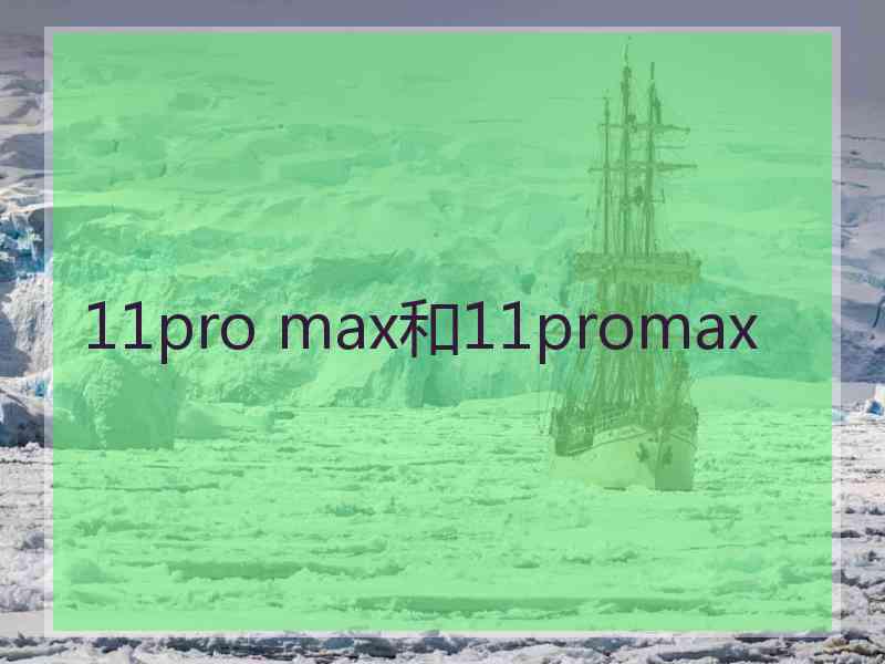 11pro max和11promax