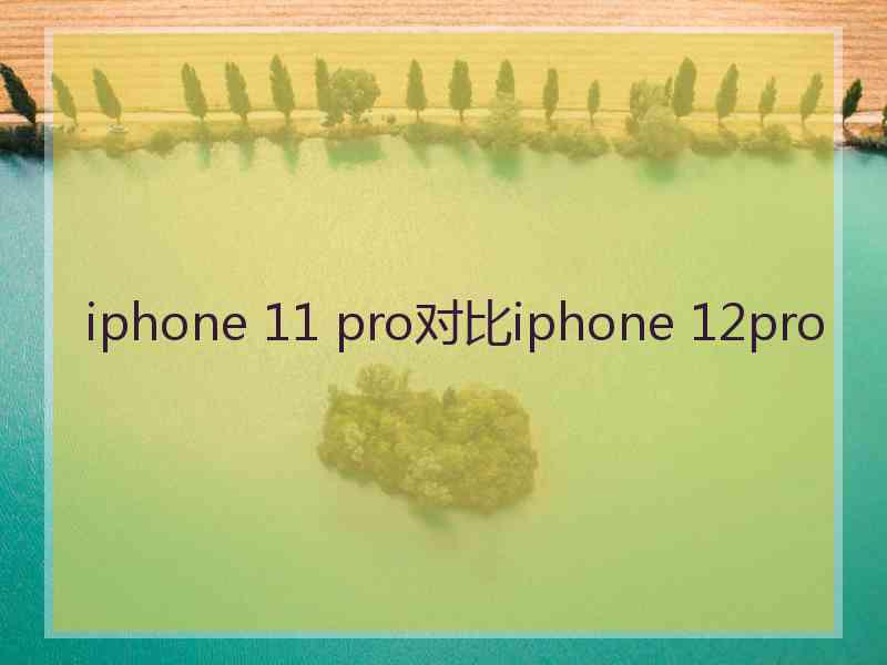 iphone 11 pro对比iphone 12pro