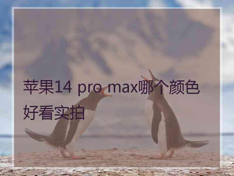 苹果14 pro max哪个颜色好看实拍