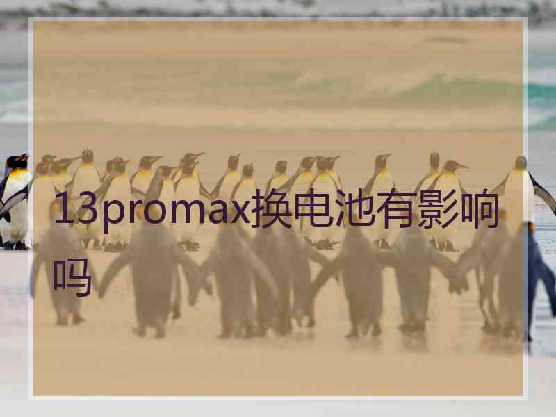 13promax换电池有影响吗