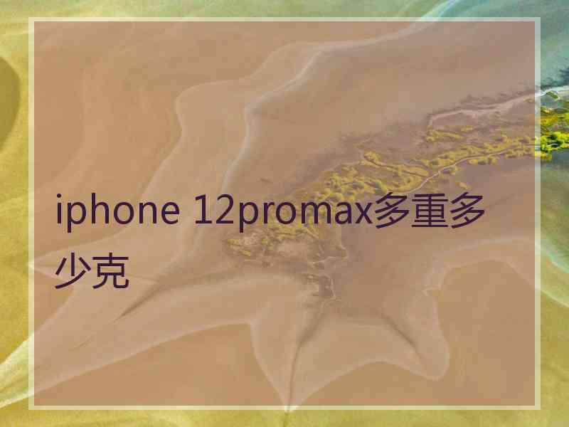 iphone 12promax多重多少克