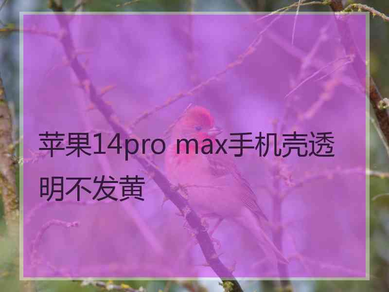 苹果14pro max手机壳透明不发黄