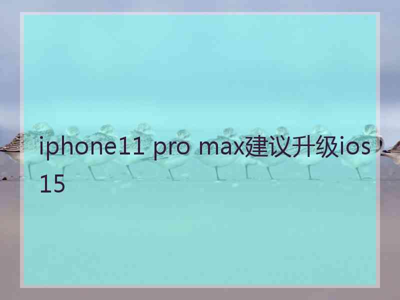 iphone11 pro max建议升级ios15