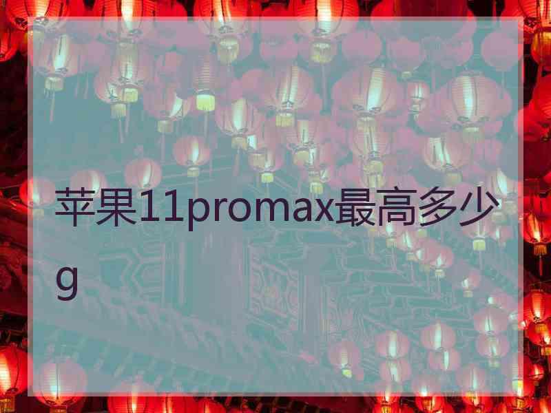 苹果11promax最高多少g