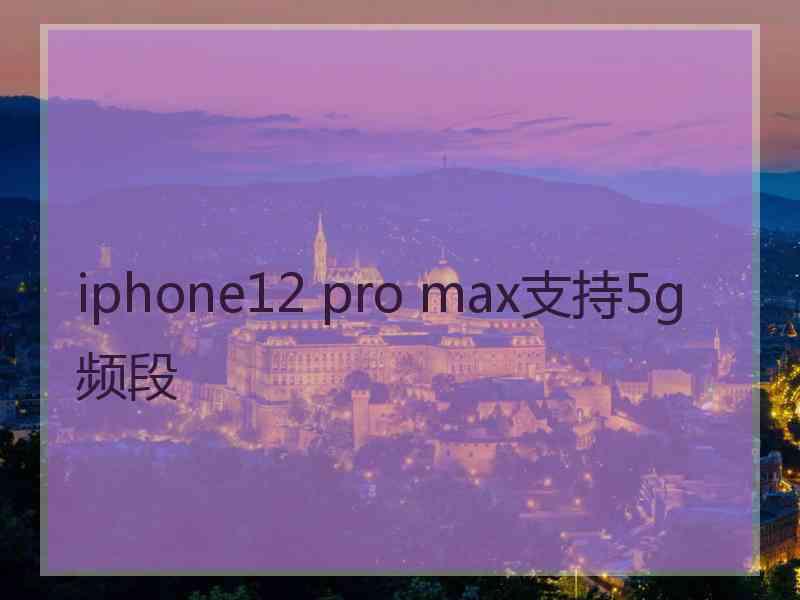 iphone12 pro max支持5g频段