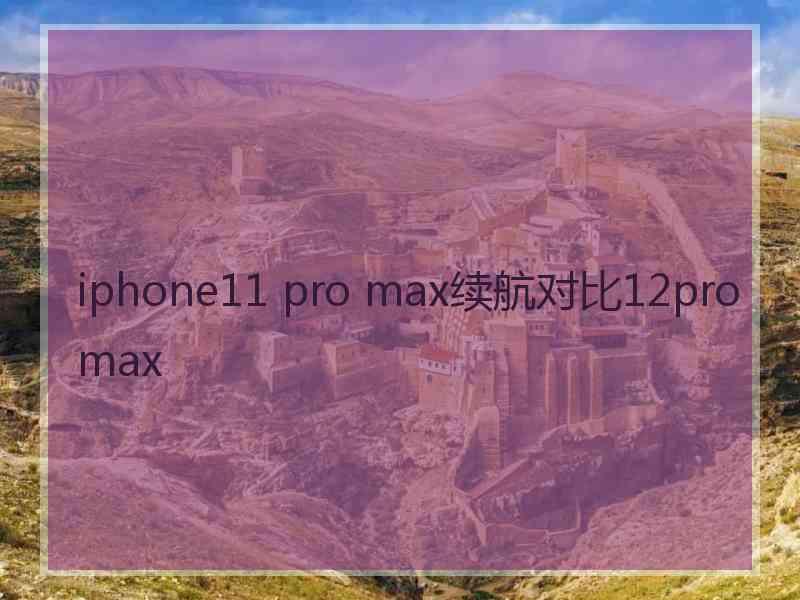 iphone11 pro max续航对比12promax