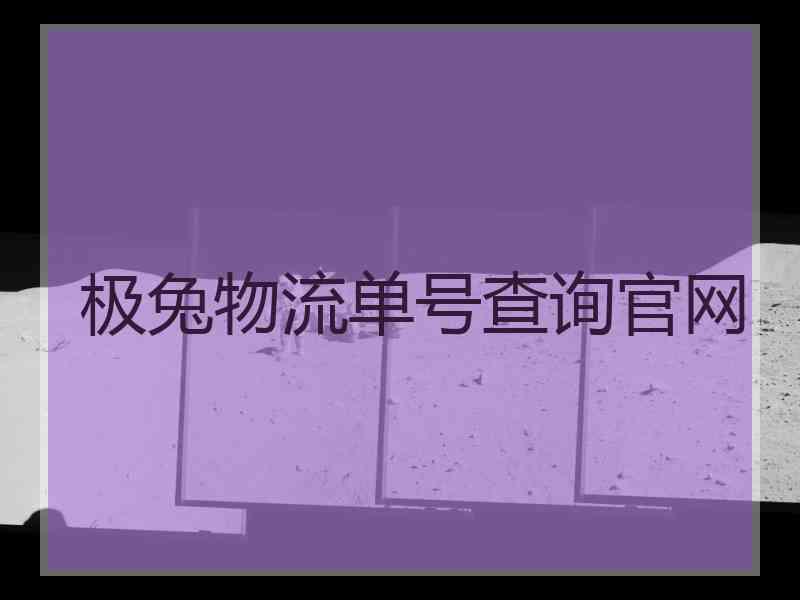 极兔物流单号查询官网