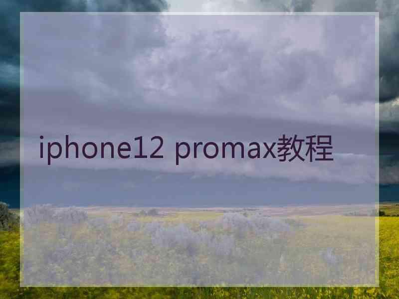 iphone12 promax教程