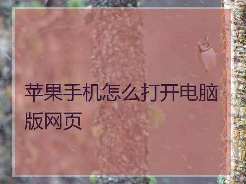 苹果手机怎么打开电脑版网页