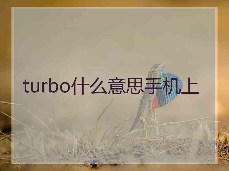 turbo什么意思手机上